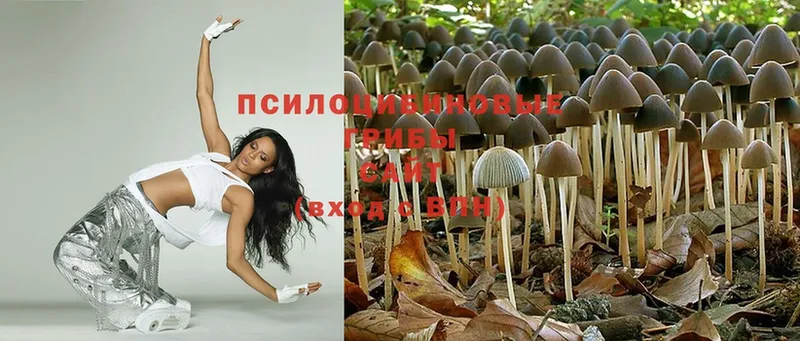 Псилоцибиновые грибы Magic Shrooms  Нижний Ломов 